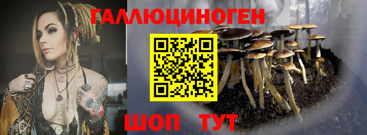Псилоцибиновые грибы мухоморы  Вход с VPN  Псилоцибиновые грибы прущие грибы  Заволжье 